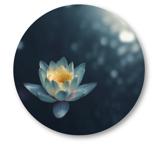 Meditación guiada para la confianza y la serenidad