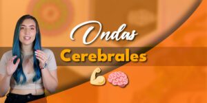 Qué son las Ondas Cerebrales y Cómo Potencializarlas